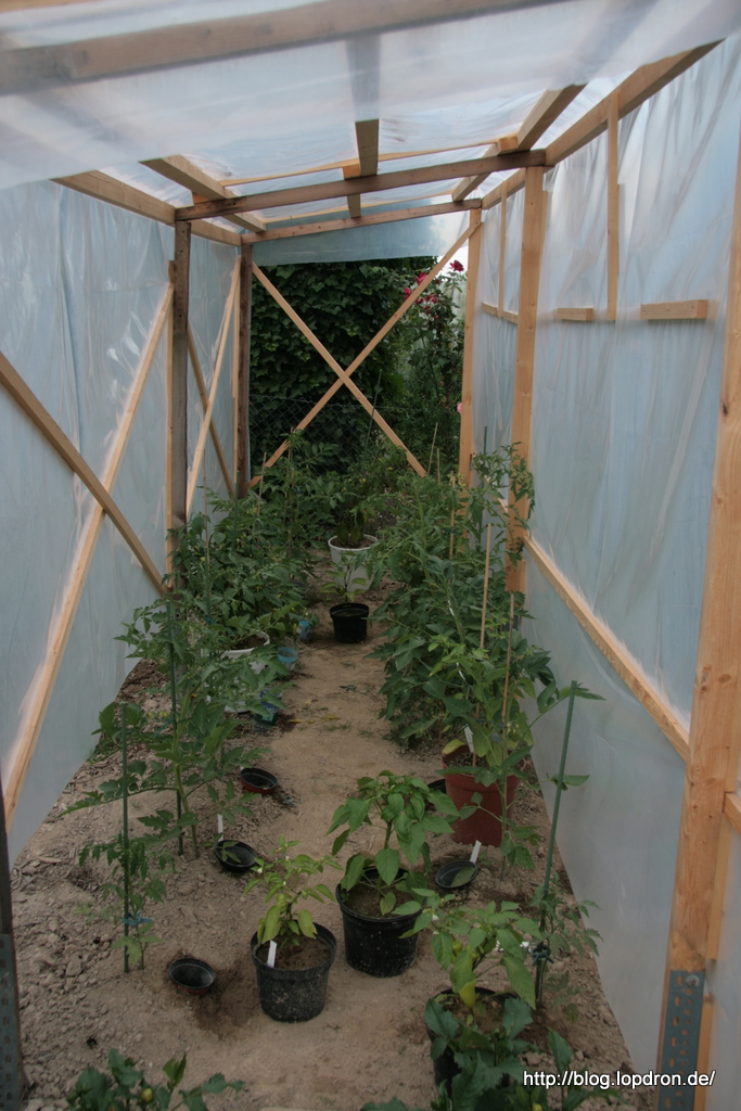 neues Tomatenhaus