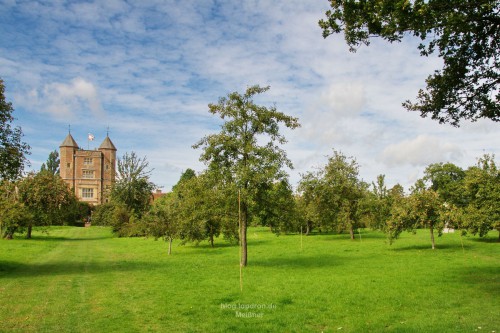 Turm mit Obstgarten